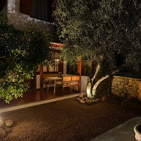 Mirabilis Vila *
